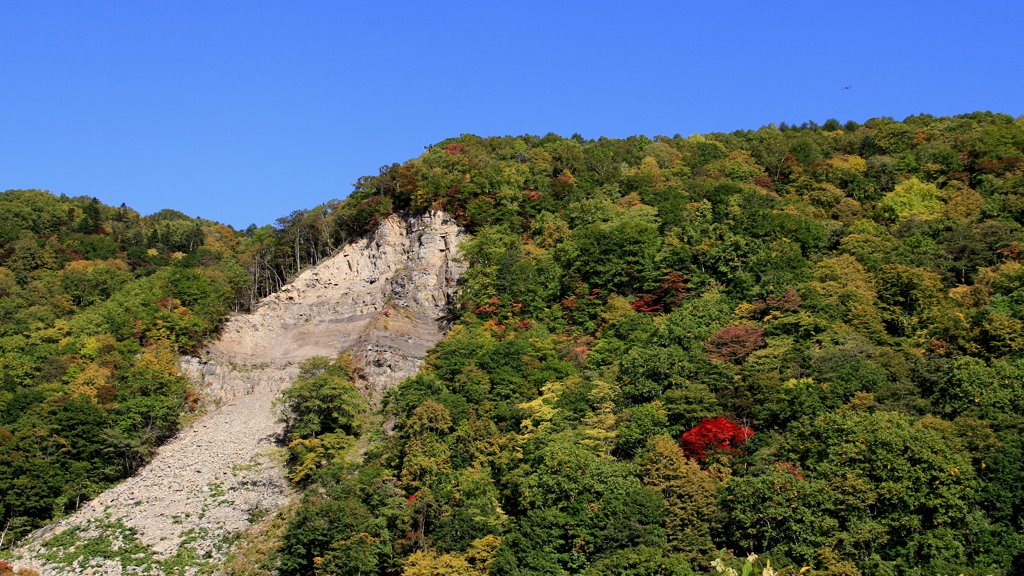 紅葉の兆し