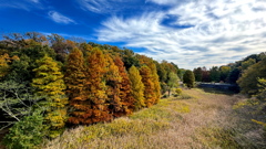 グラデーション