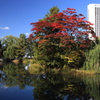 中島公園 -2