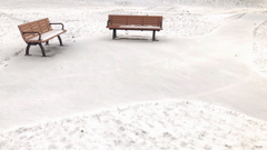 朝の雪