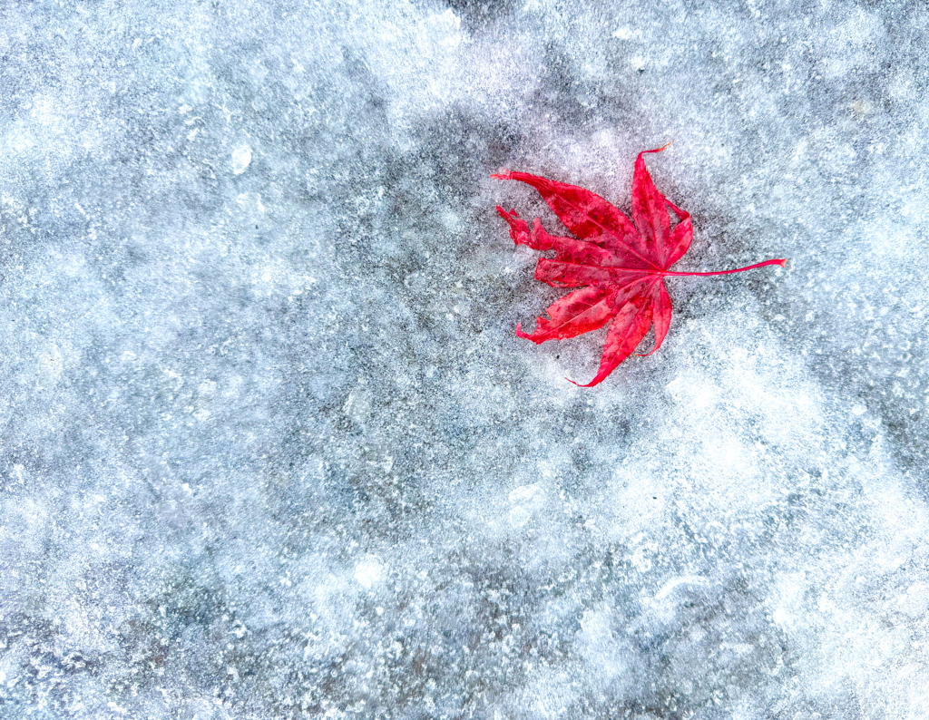 閉じ込められた秋