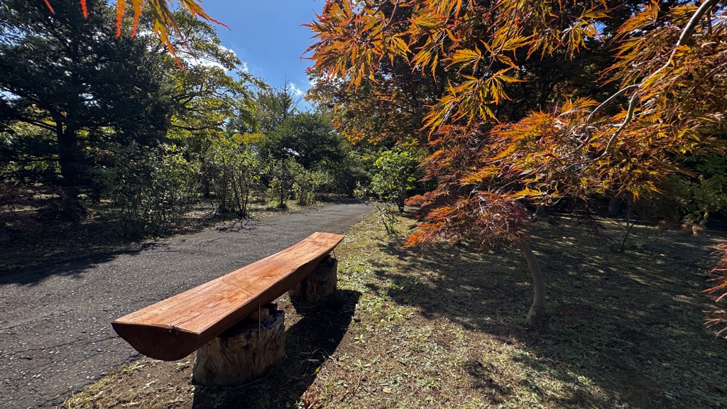 秋色ベンチ