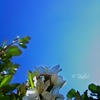 青空