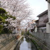 桜の咲く風景