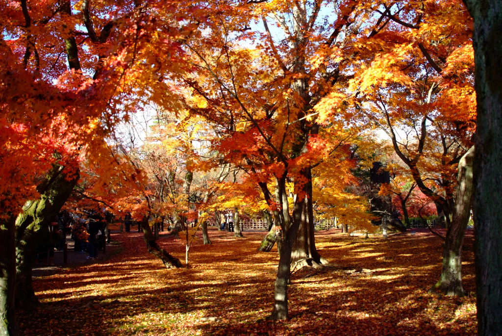 東福寺