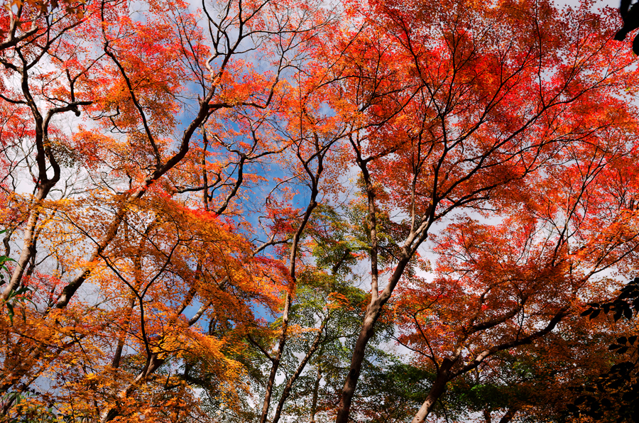 DSC_1779-Edit