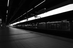 DSC00598
