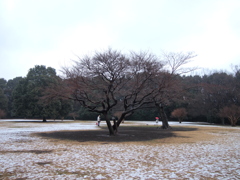 影だけ別世界