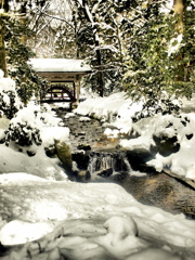 玉の橋