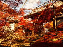 勅使門と紅葉