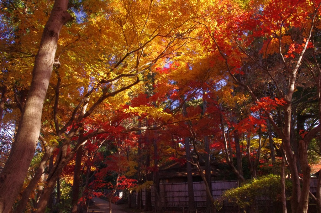 せめぎ合い