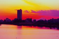偽りの夕陽