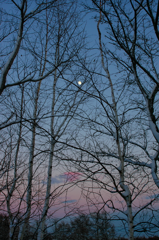 冬空と月