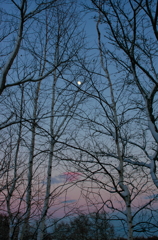 冬空と月