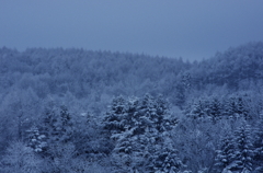 暴風雪