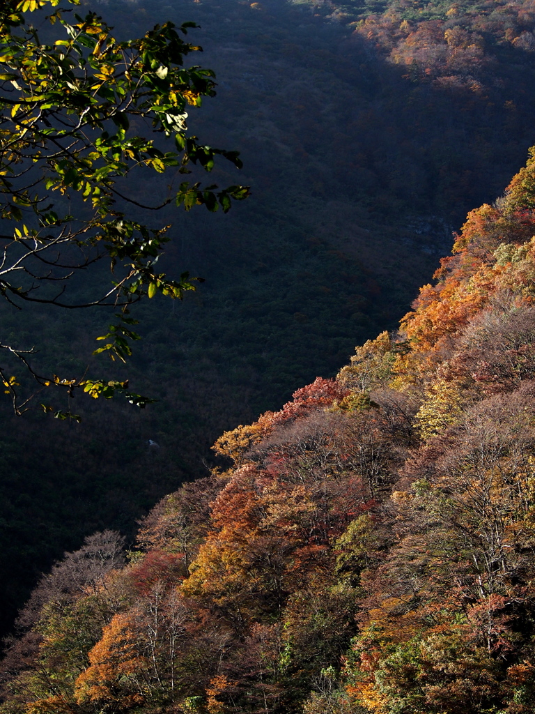 夕暮れ前の静寂