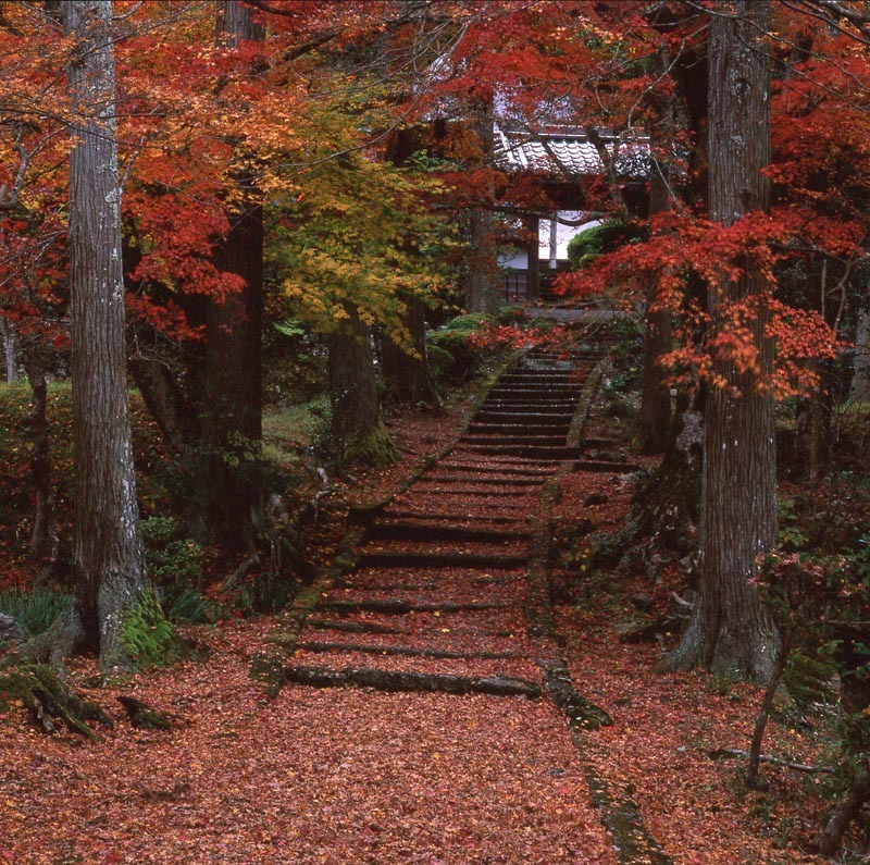 京都・龍穏寺