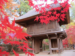 紅葉at平林寺