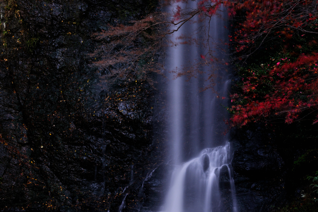 紅黒の流れ