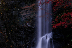 紅黒の流れ