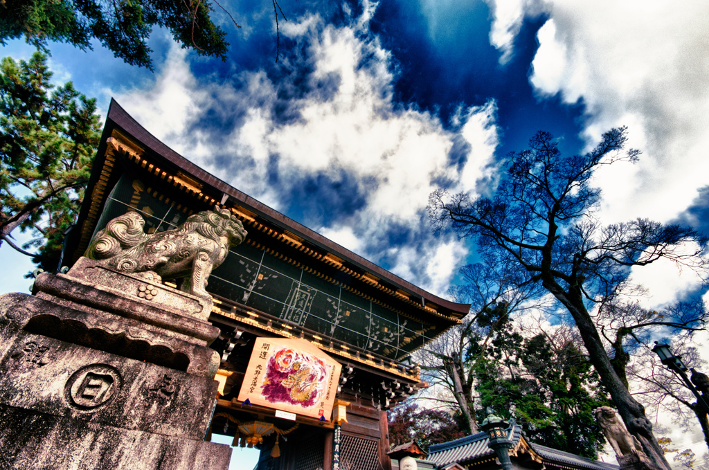 謹賀新年　新たな希望への一年　～北野天満宮から～