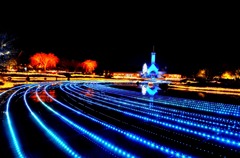なばな2012 Ⅰ