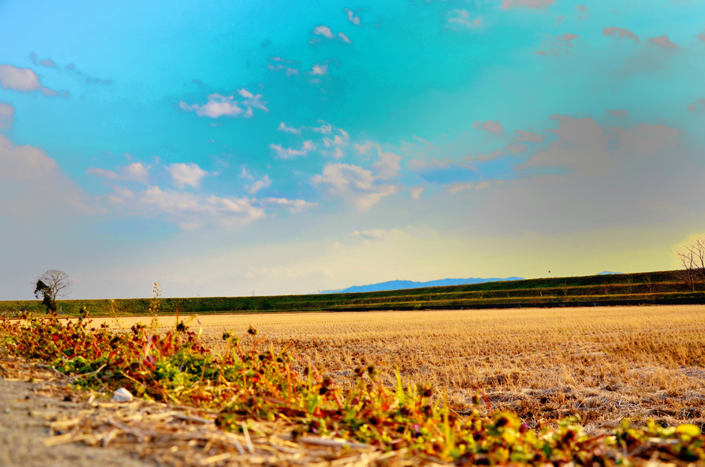 country road