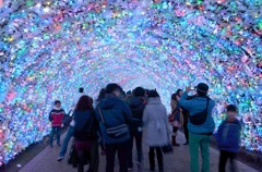 なばな2012 Ⅵ