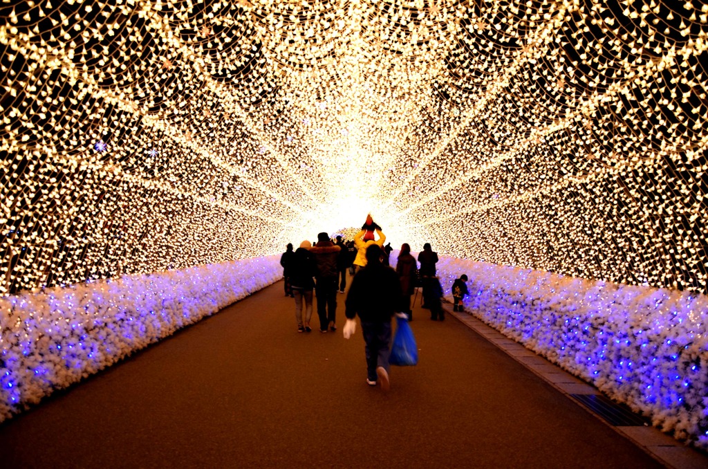 なばな2012 Ⅲ