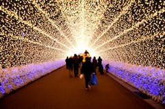 なばな2012 Ⅲ