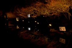 なばな2012 Ⅶ