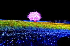 なばな2012 Ⅳ