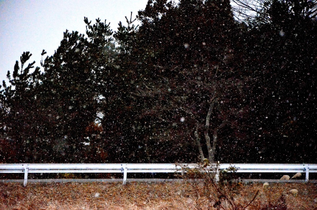 snowfall