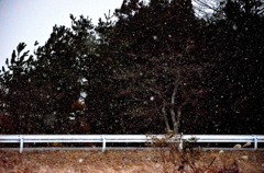 snowfall