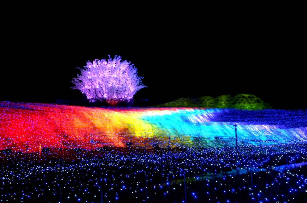 なばな2012 Ⅴ