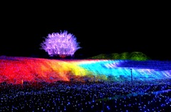なばな2012 Ⅴ