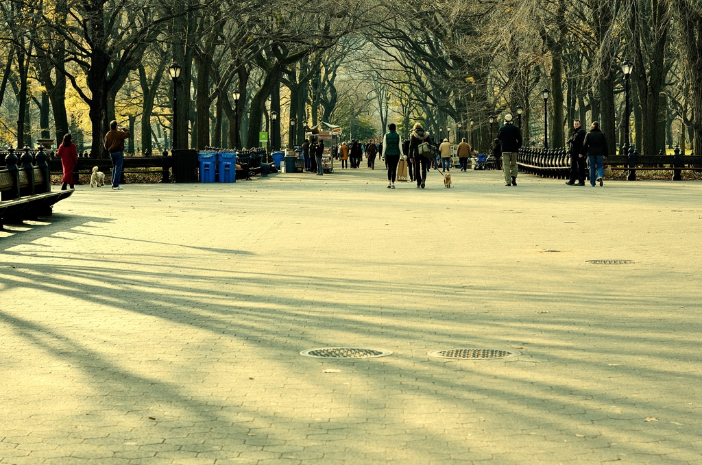 the park