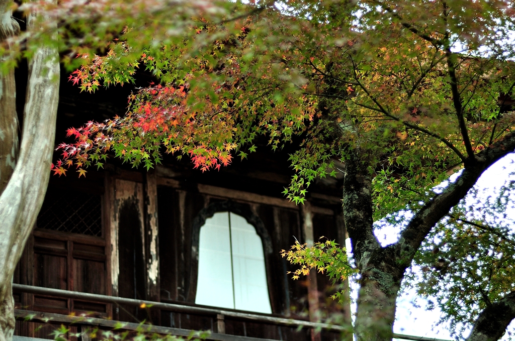 銀閣寺の秋