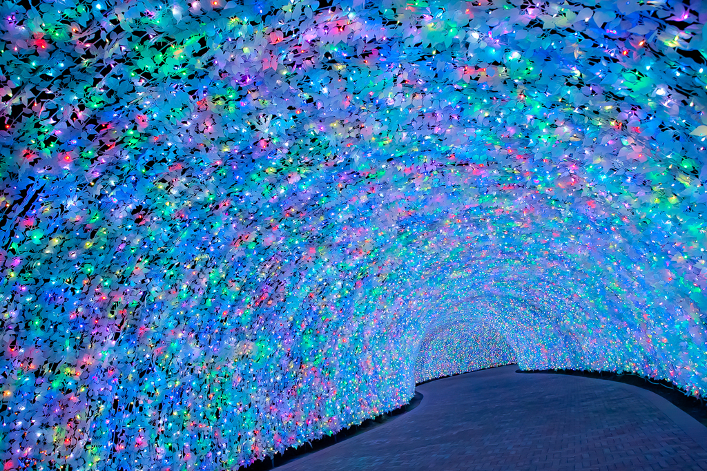 光の道