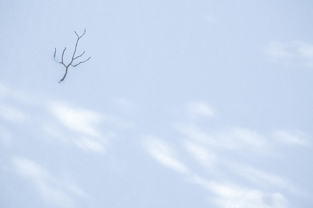 雪の絵