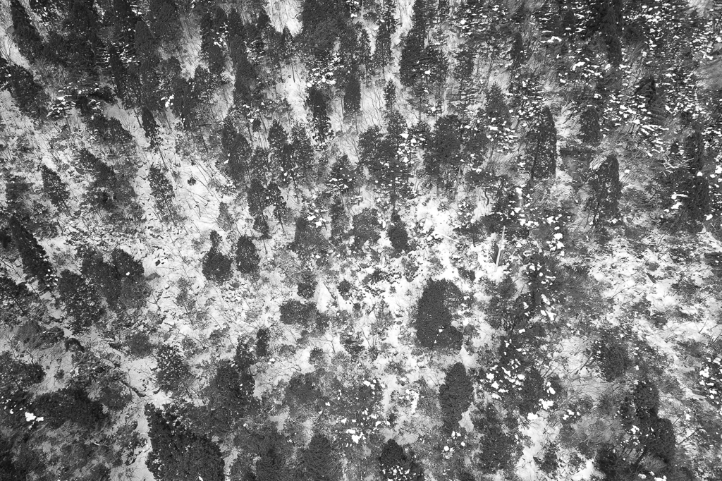 雪山の記憶