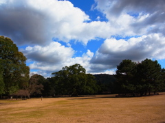 奈良公園・冬の空