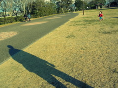 癒しの公園。