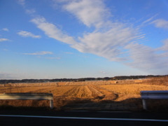 長閑。