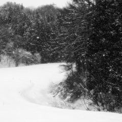 雪降る・・・