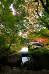 The卒啄園　～そったくえん～