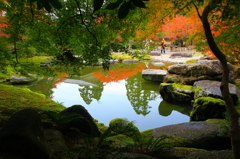 みなものもみじ　～卒啄園～