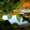 みなものもみじ　～卒啄園～
