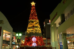 Christmas tree in Hiratuka　Shopping mall