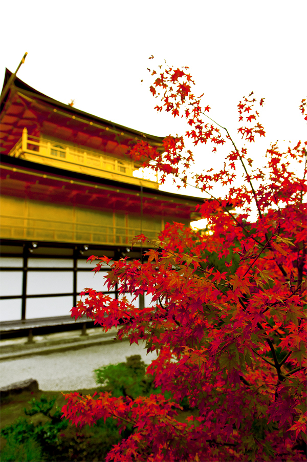 金閣寺